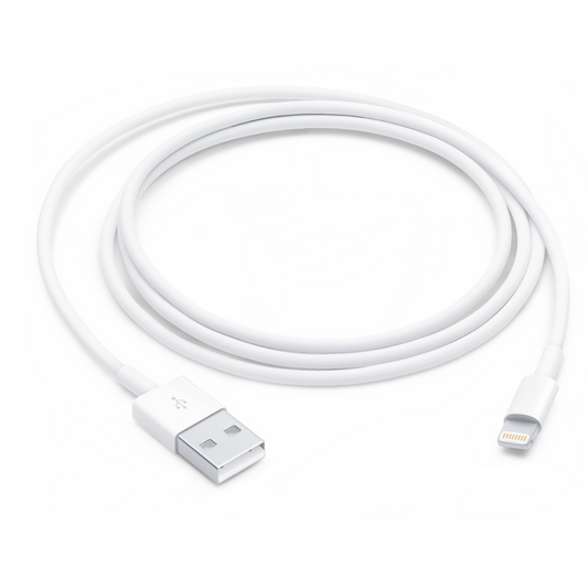 Câble Lightning vers USB (ONLYFIX)