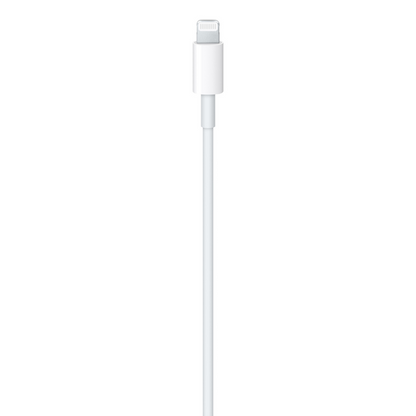 Câble Lightning vers USB (ONLYFIX)